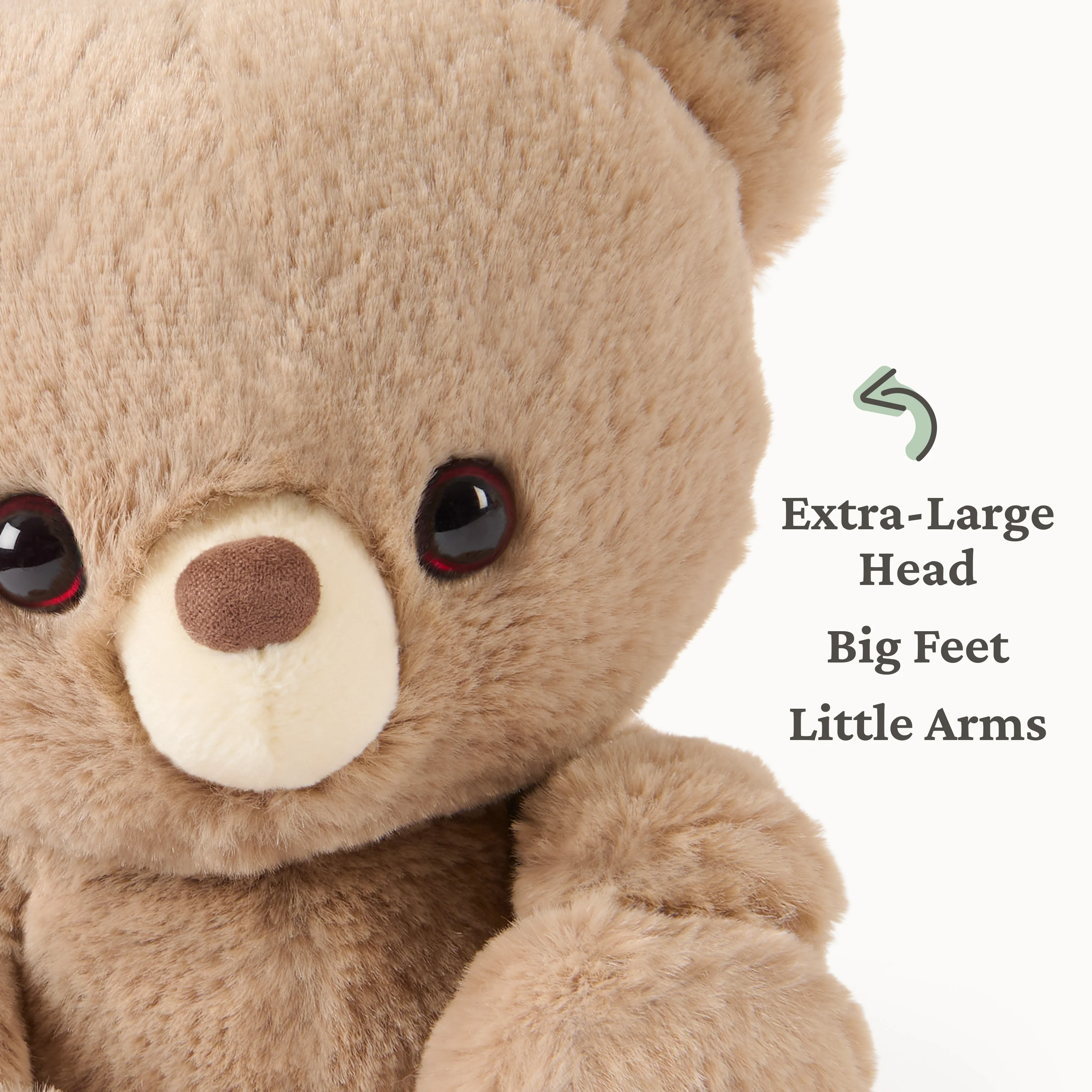 7 in Littles: Kai - Image 4