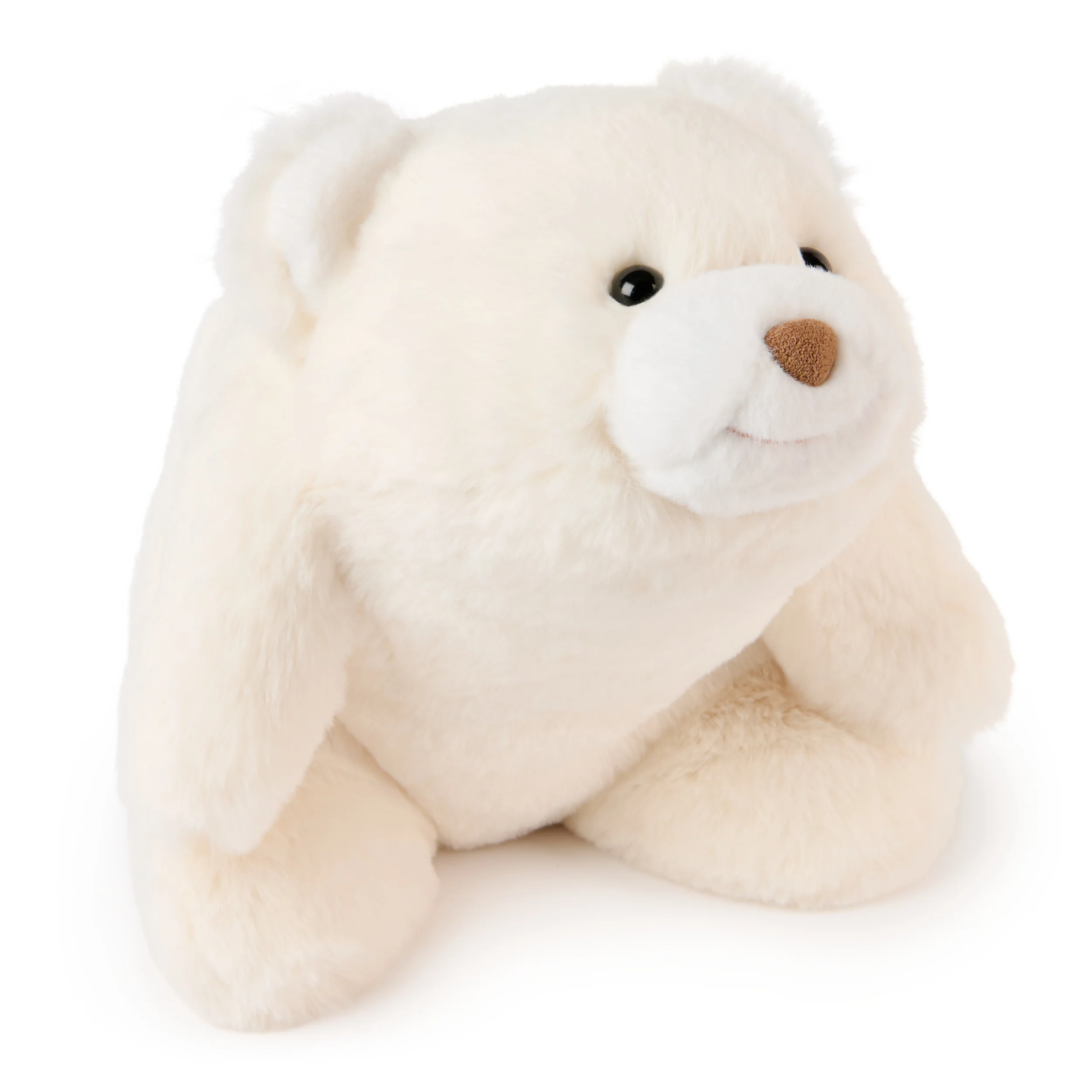 Gifts $20 - $50