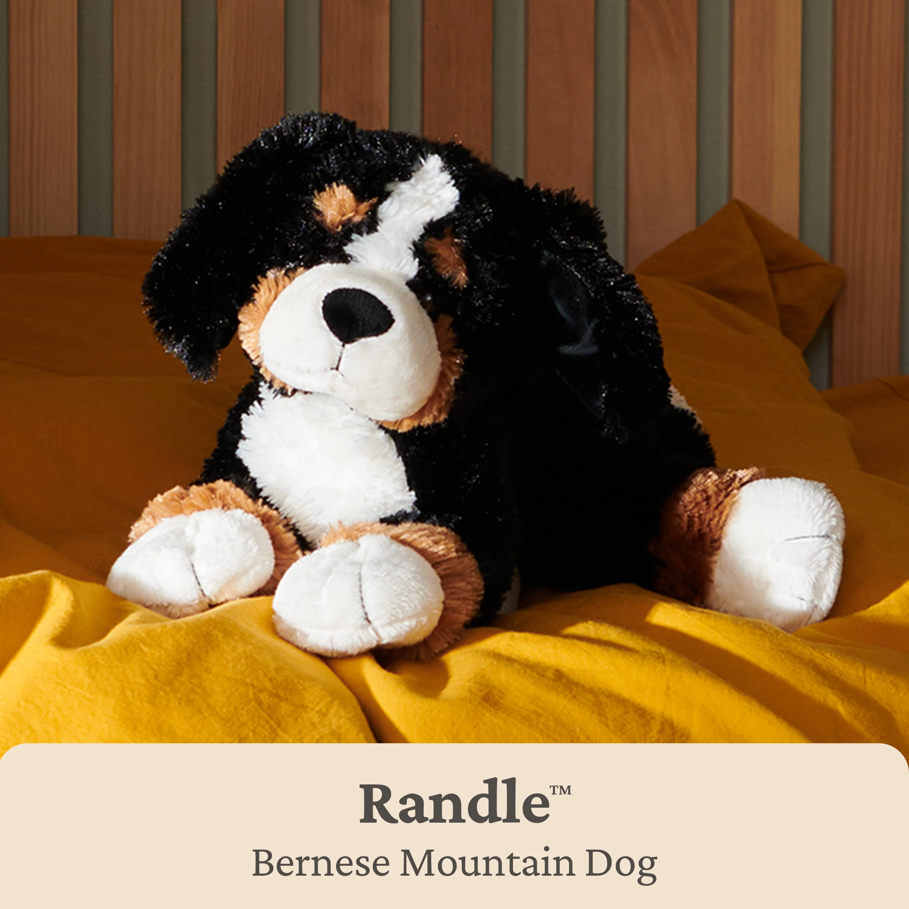 Randle, 13 in - Image 3